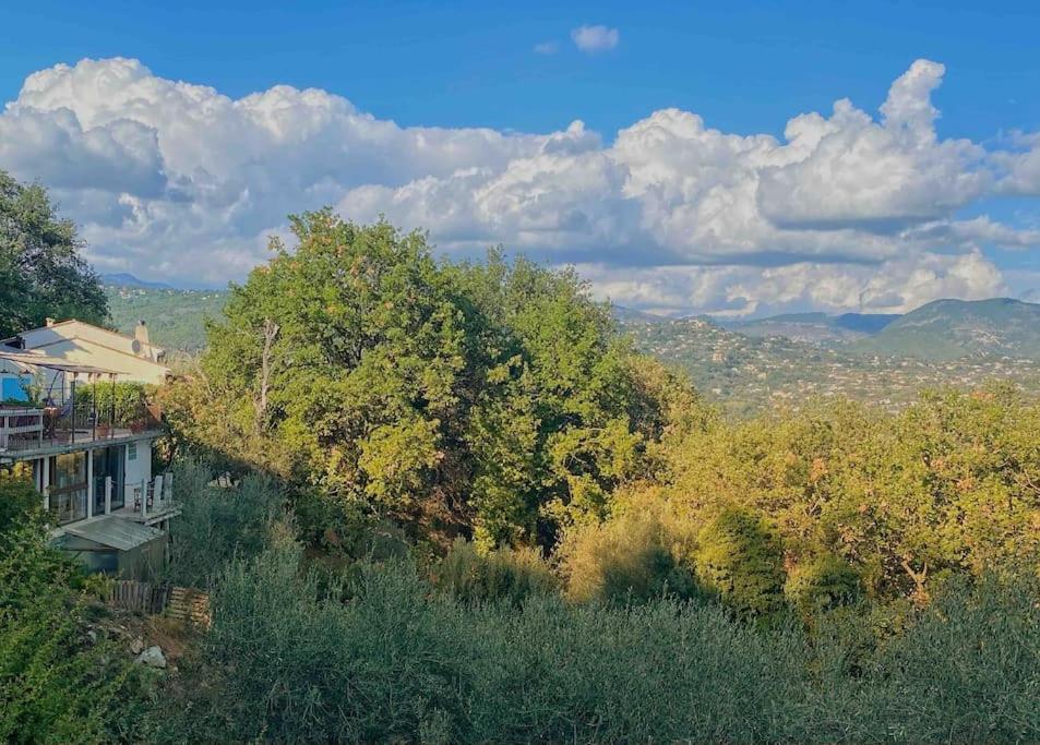 Bas De Villa Au Milieu Des Oliviers. Chateauneuf-Villevieille Luaran gambar